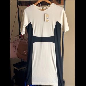 Michael Kors Dress